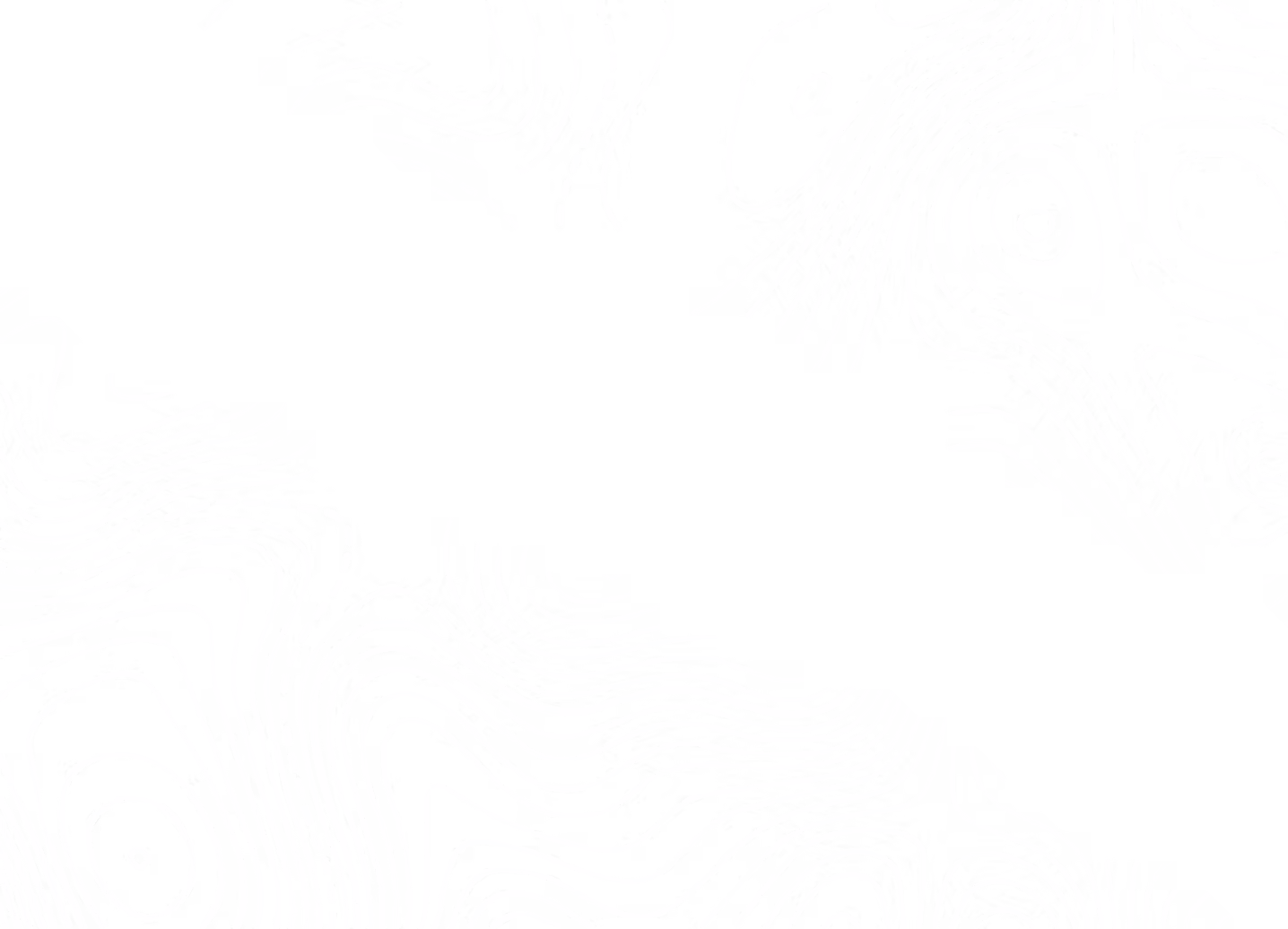 Topo Pass through white.png